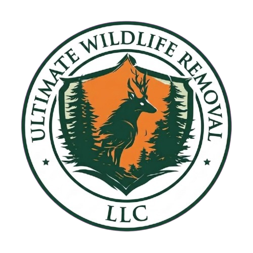 Ultimate Wildlife Removal